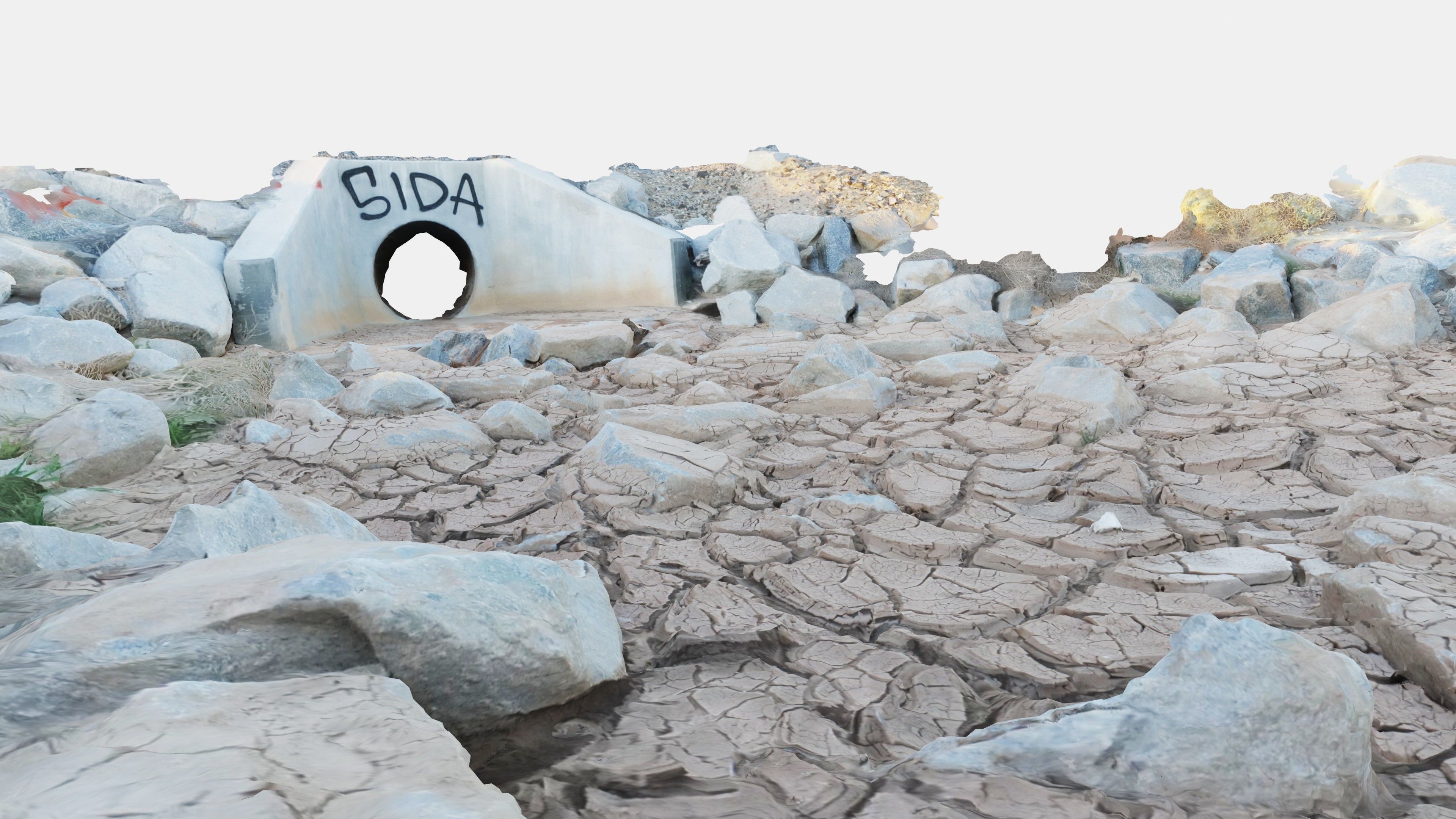 Desert Wash 3D Scan 3D model_2