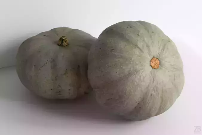 Pumpkin 3D model