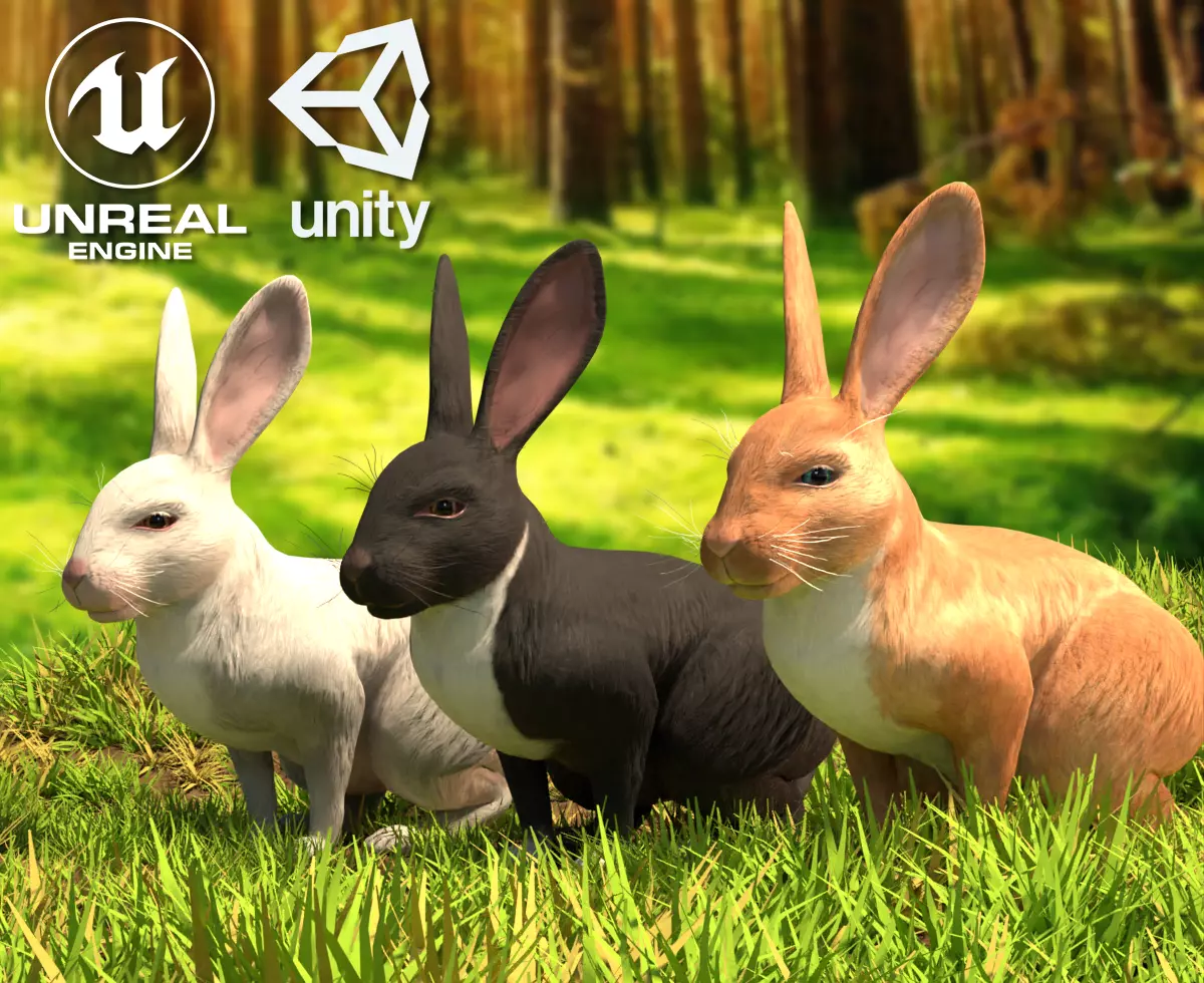 Reallistic Animated Rabbit Low-poly 3D model_0