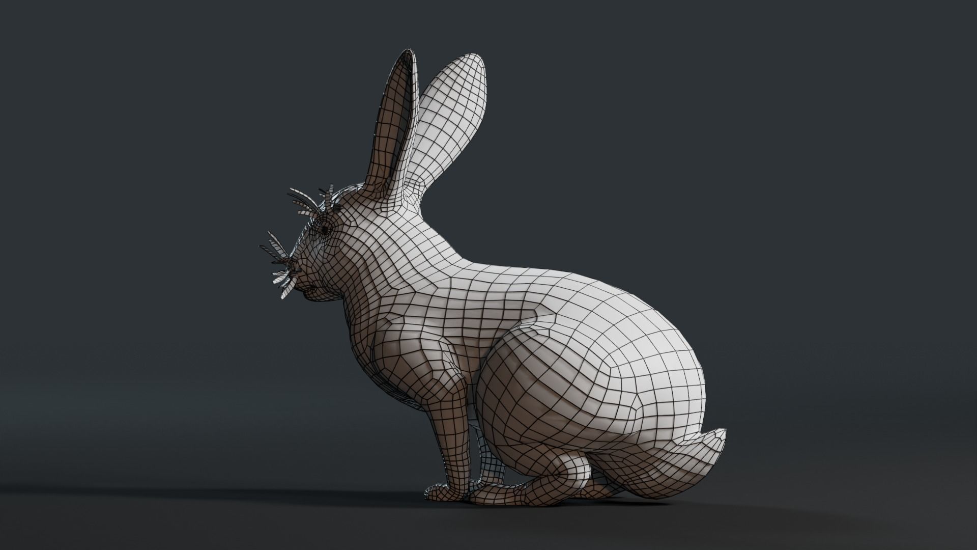 Reallistic Animated Rabbit Low-poly 3D model_48