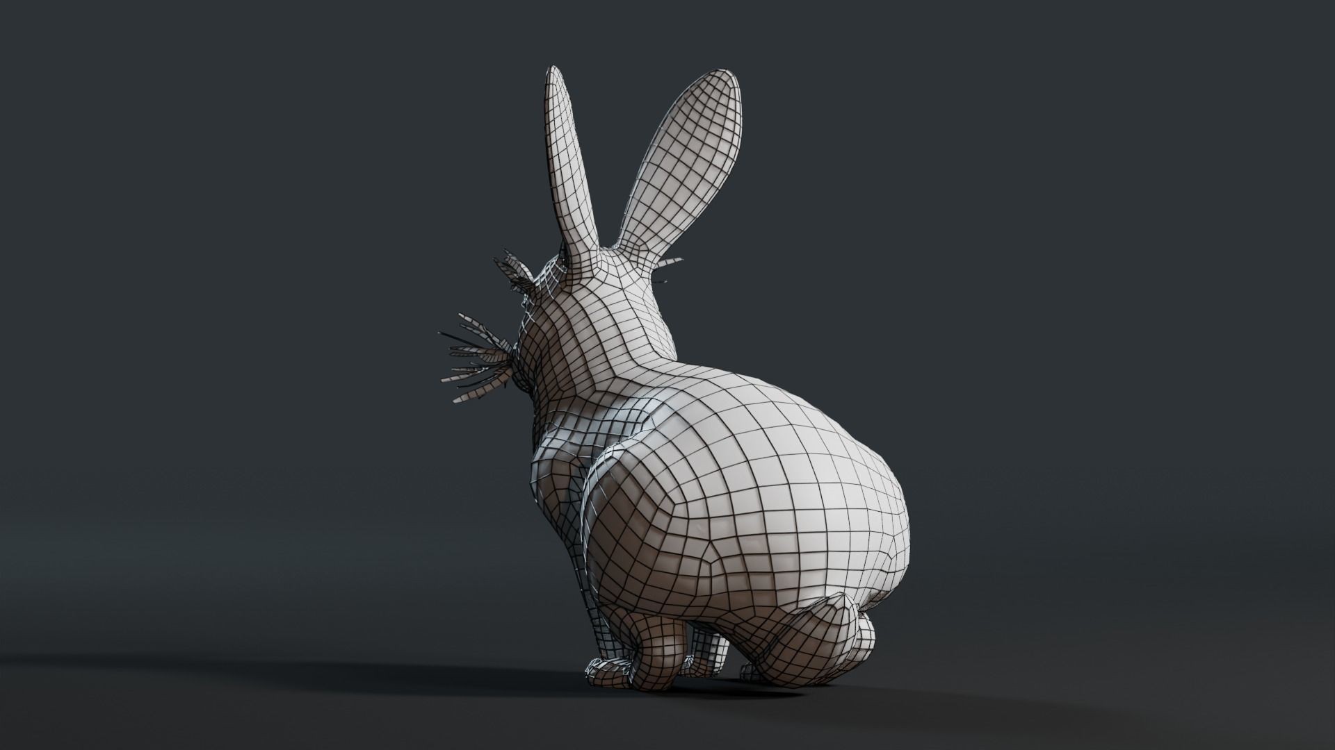 Reallistic Animated Rabbit Low-poly 3D model_46