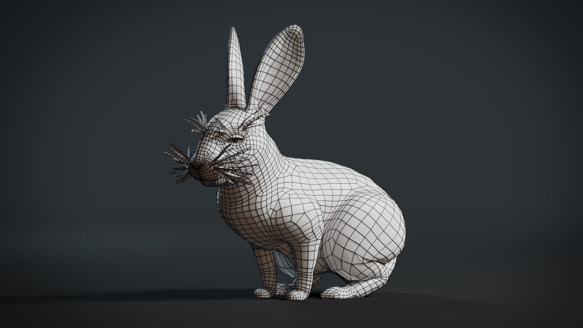 Reallistic Animated Rabbit Low-poly 3D model_12