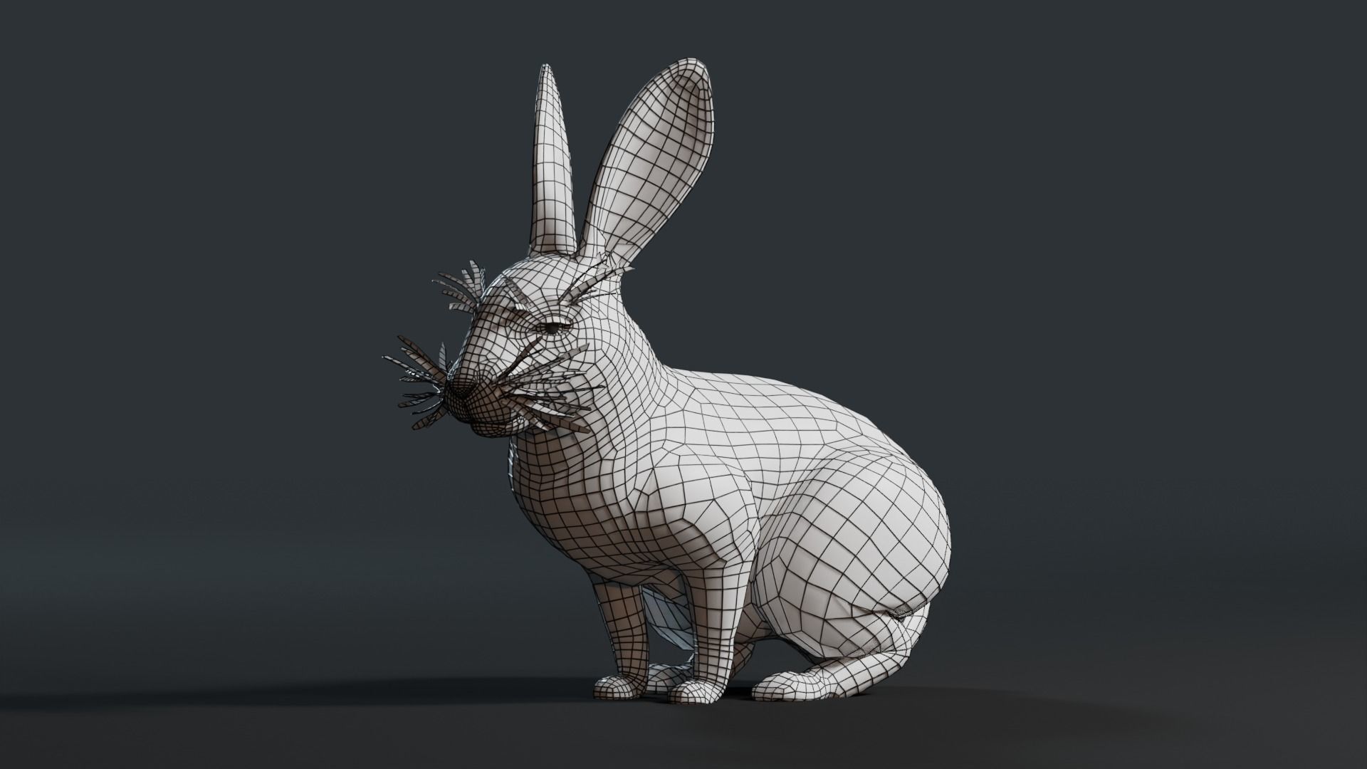 Reallistic Animated Rabbit Low-poly 3D model_33