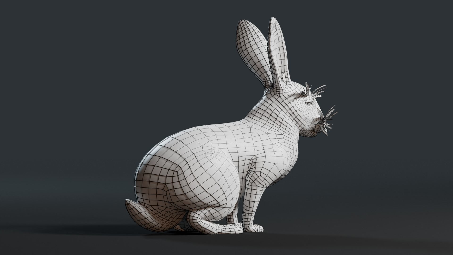 Reallistic Animated Rabbit Low-poly 3D model_41