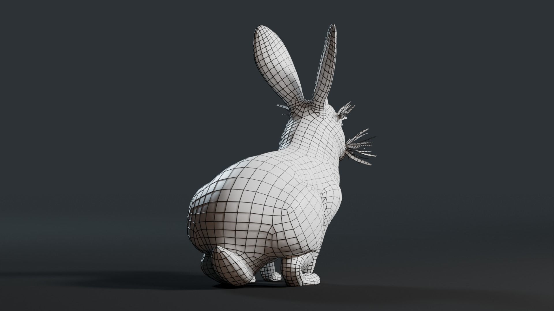 Reallistic Animated Rabbit Low-poly 3D model_43