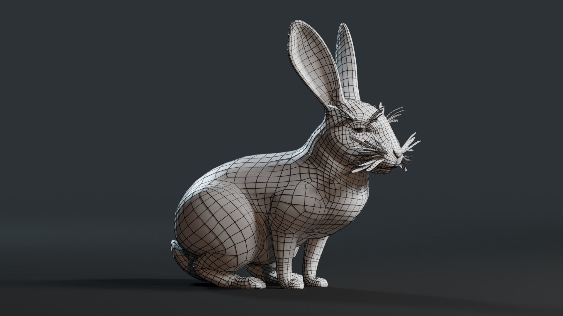 Reallistic Animated Rabbit Low-poly 3D model_38