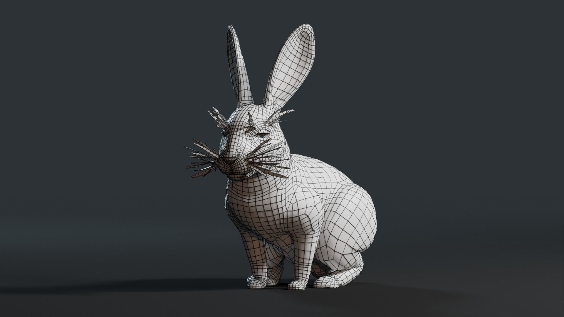 Reallistic Animated Rabbit Low-poly 3D model_34