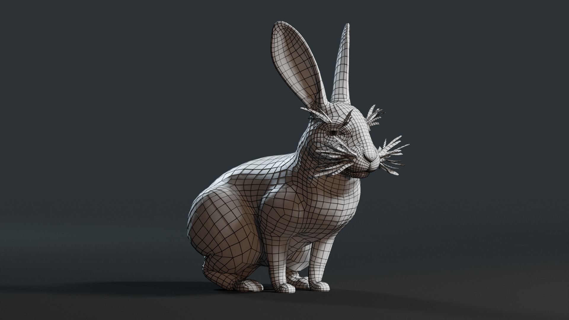 Reallistic Animated Rabbit Low-poly 3D model_37