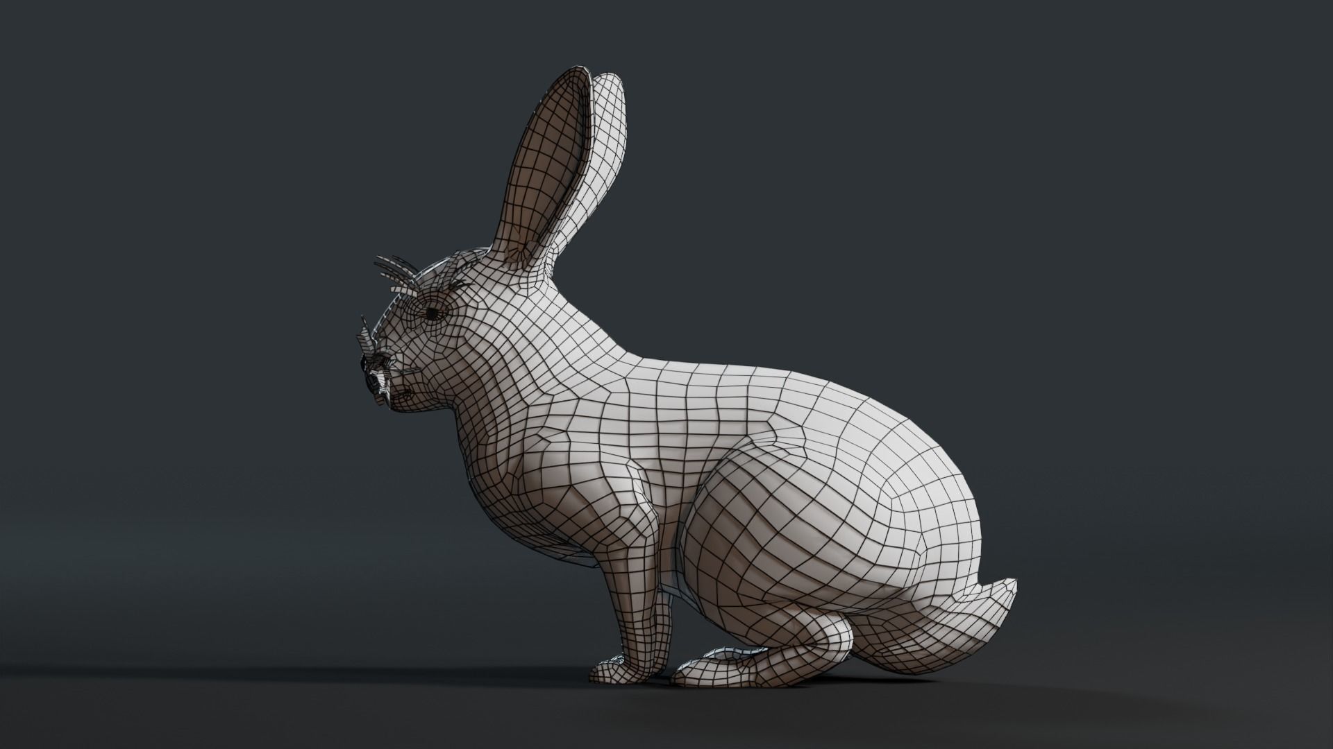 Reallistic Animated Rabbit Low-poly 3D model_49