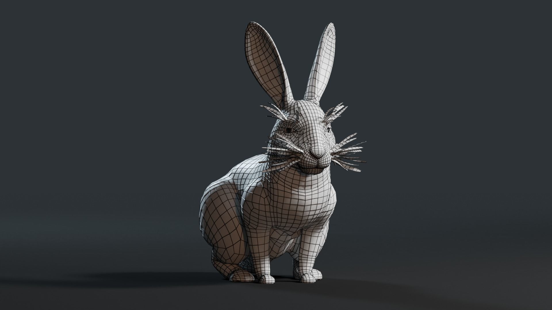 Reallistic Animated Rabbit Low-poly 3D model_36