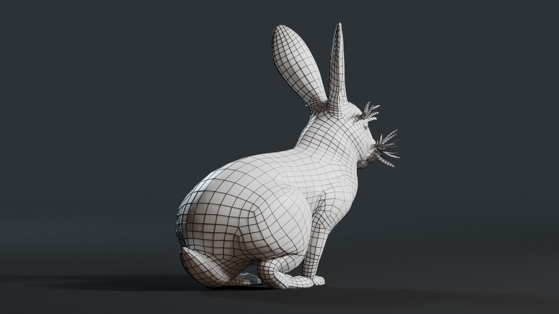 Reallistic Animated Rabbit Low-poly 3D model_42