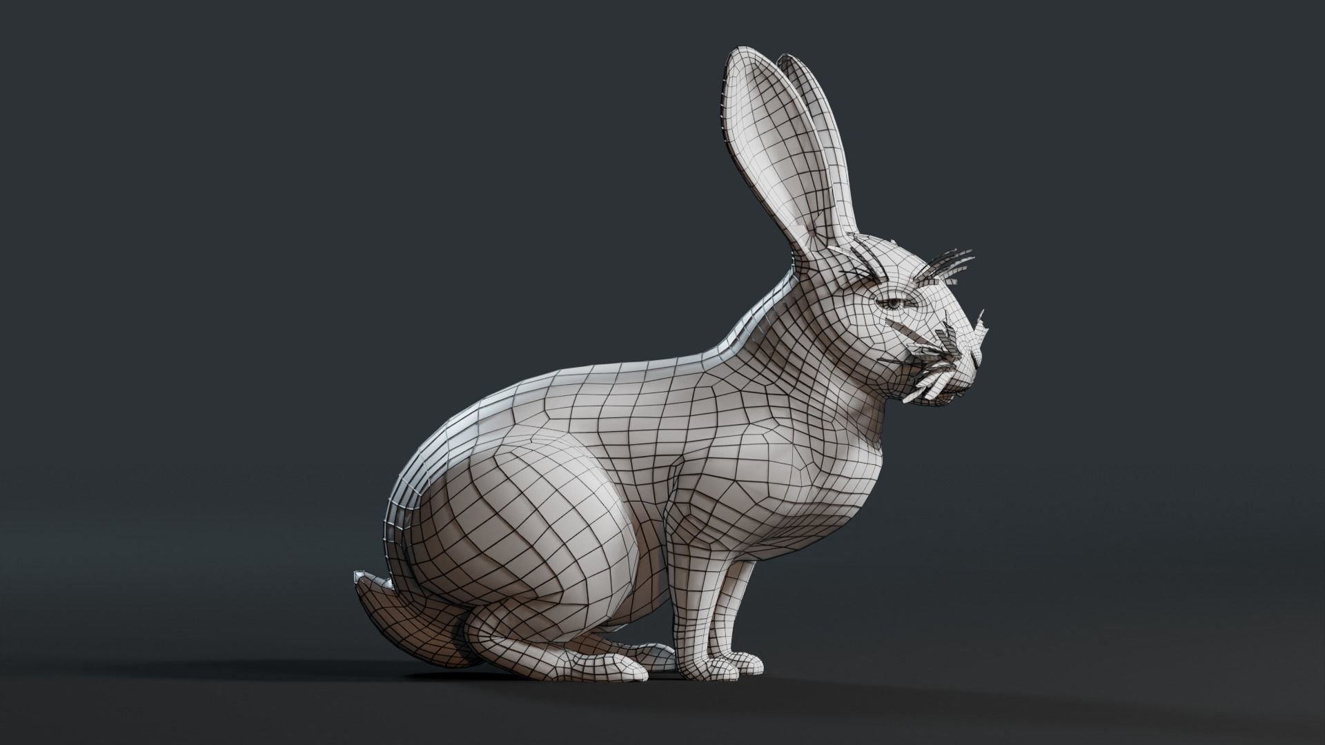 Reallistic Animated Rabbit Low-poly 3D model_39