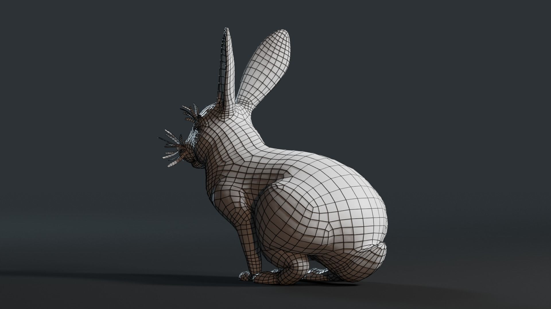 Reallistic Animated Rabbit Low-poly 3D model_47