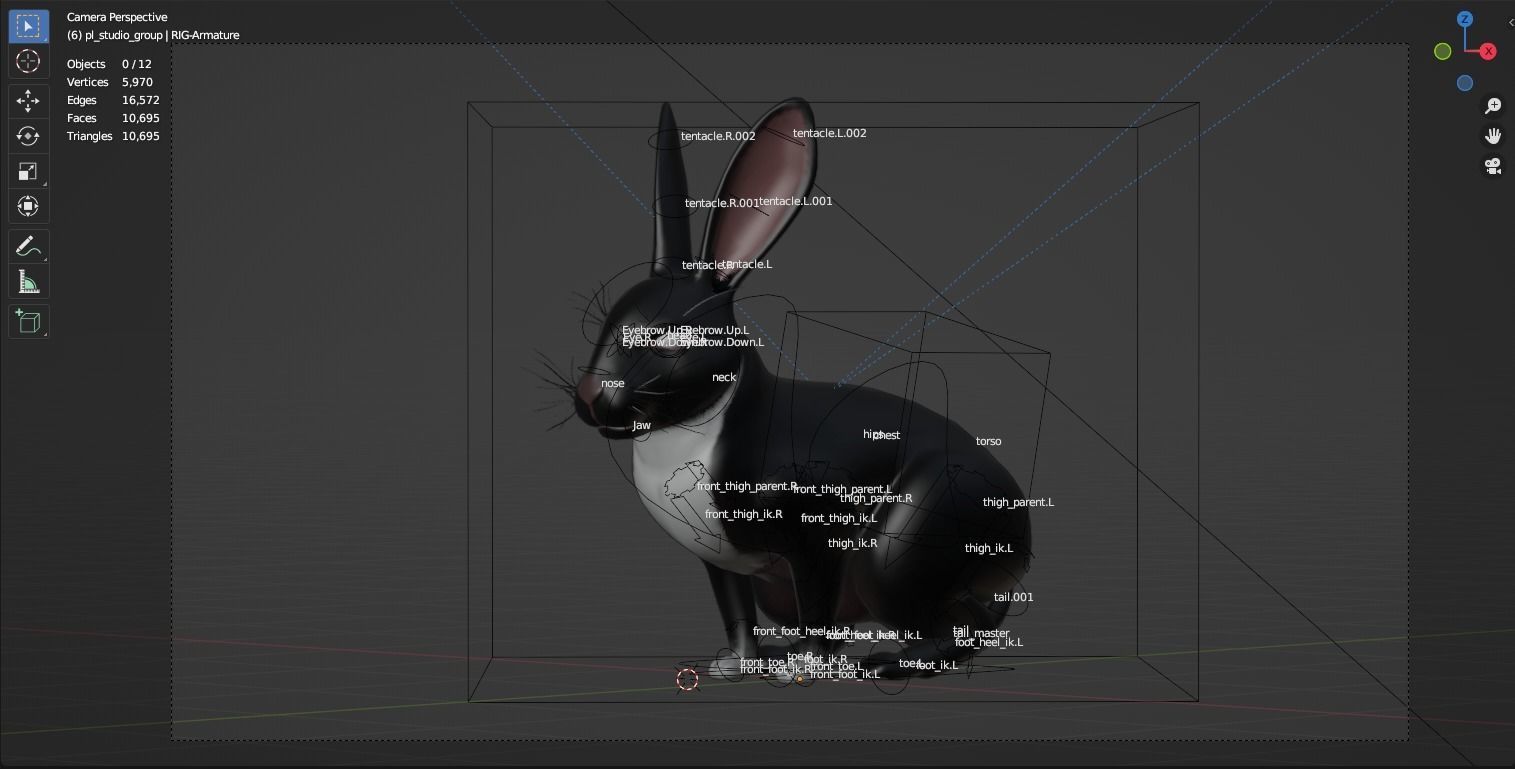Reallistic Animated Rabbit Low-poly 3D model_11