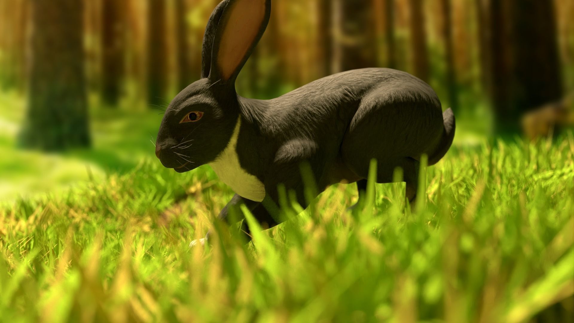 Reallistic Animated Rabbit Low-poly 3D model_5