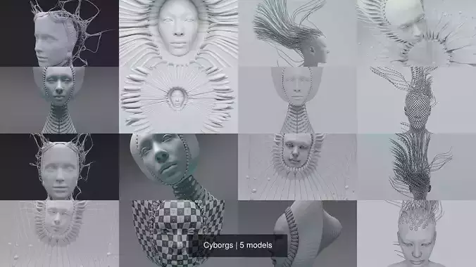Cyborgs 3D Model Collection