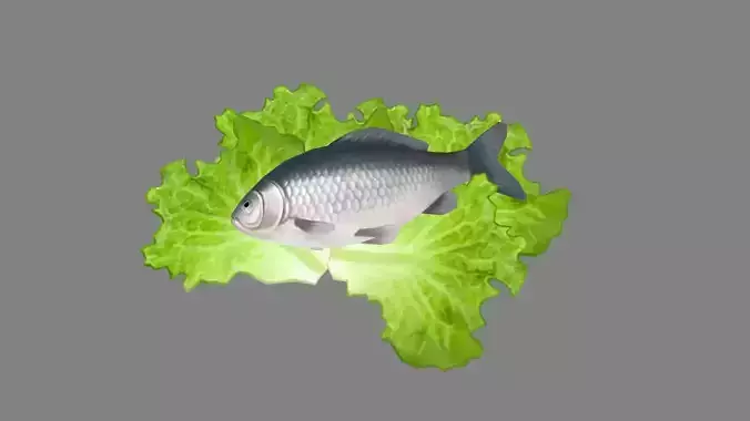 Cartoon fish and vegetable Low-poly 3D model