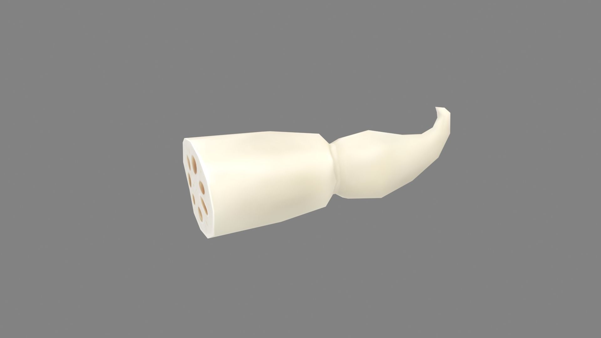 Peeled Lotus Root Low-poly 3D model_1