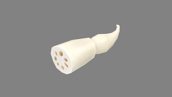 Peeled Lotus Root Low-poly 3D model
