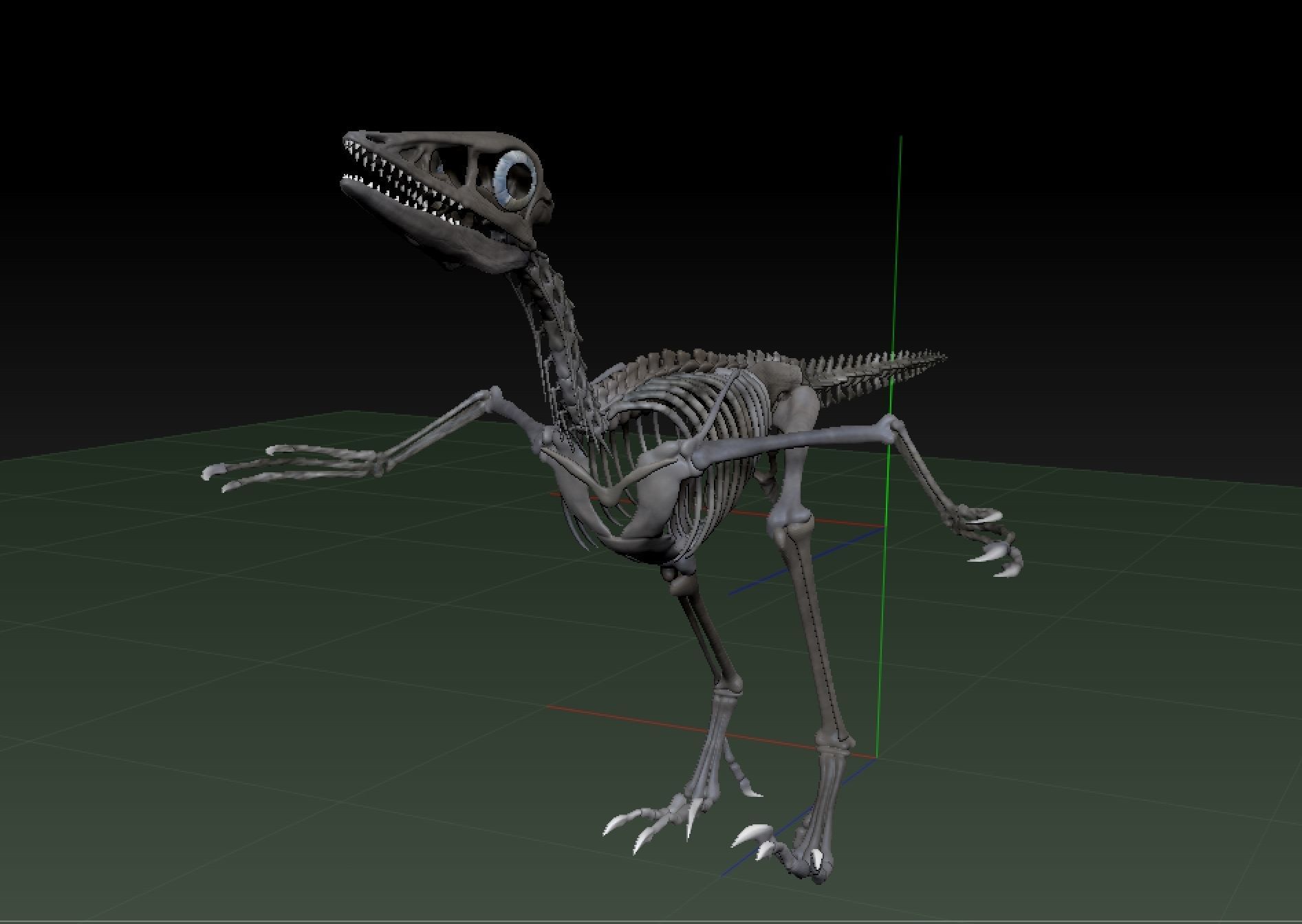 Archaeopteryx Skeleton - Full 3D archaeopteryx dinosaur bones 3D print model_1