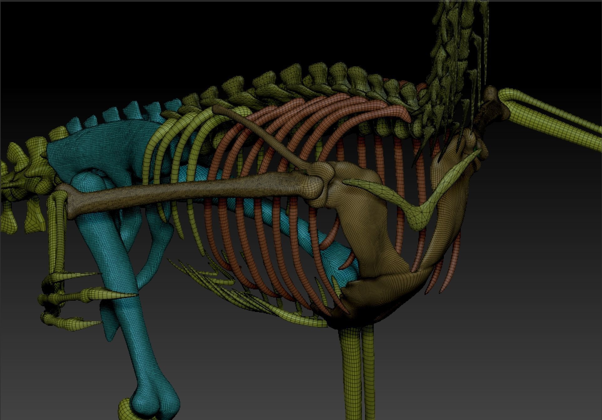 Archaeopteryx Skeleton - Full 3D archaeopteryx dinosaur bones 3D print model_10