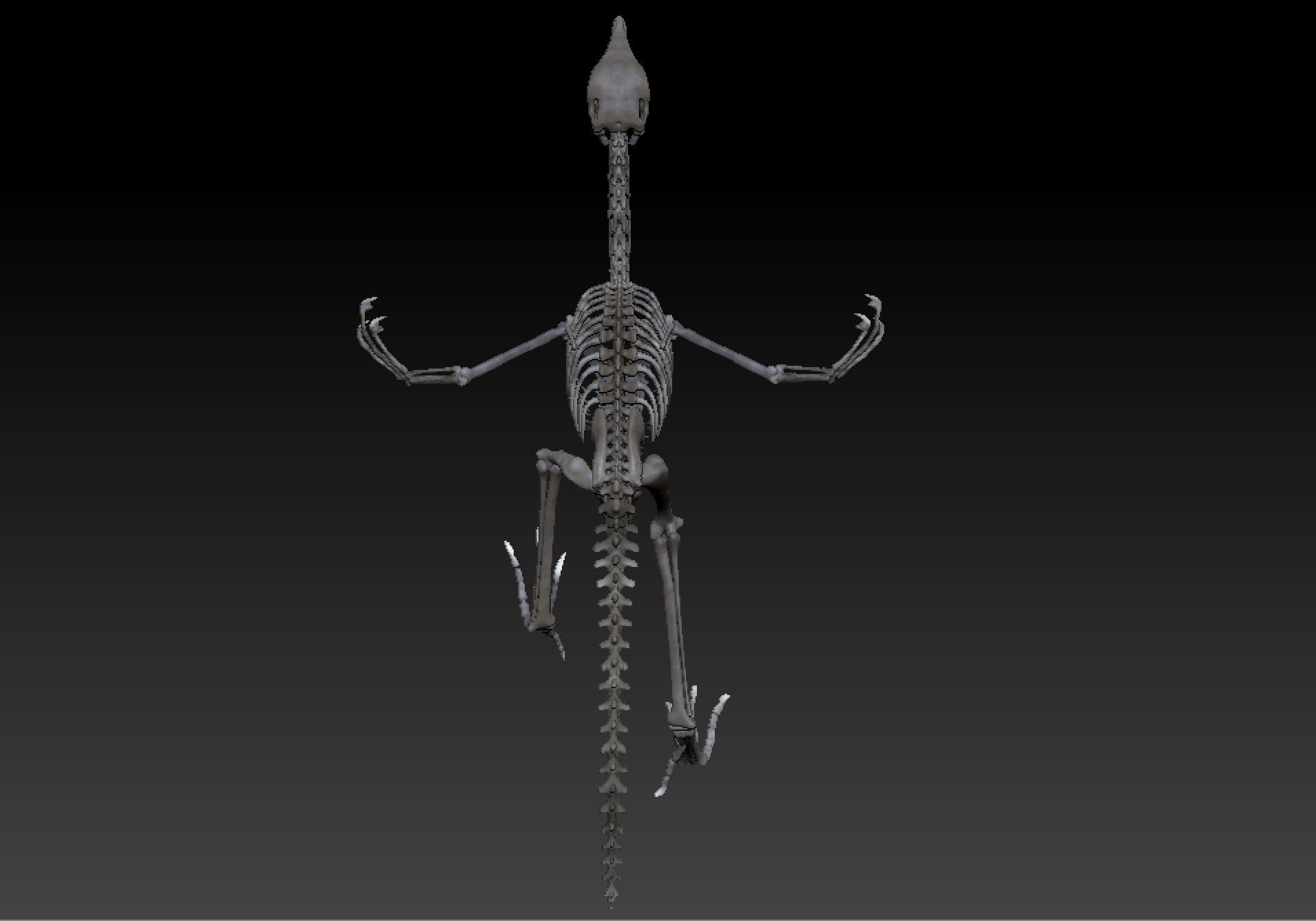 Archaeopteryx Skeleton - Full 3D archaeopteryx dinosaur bones 3D print model_4