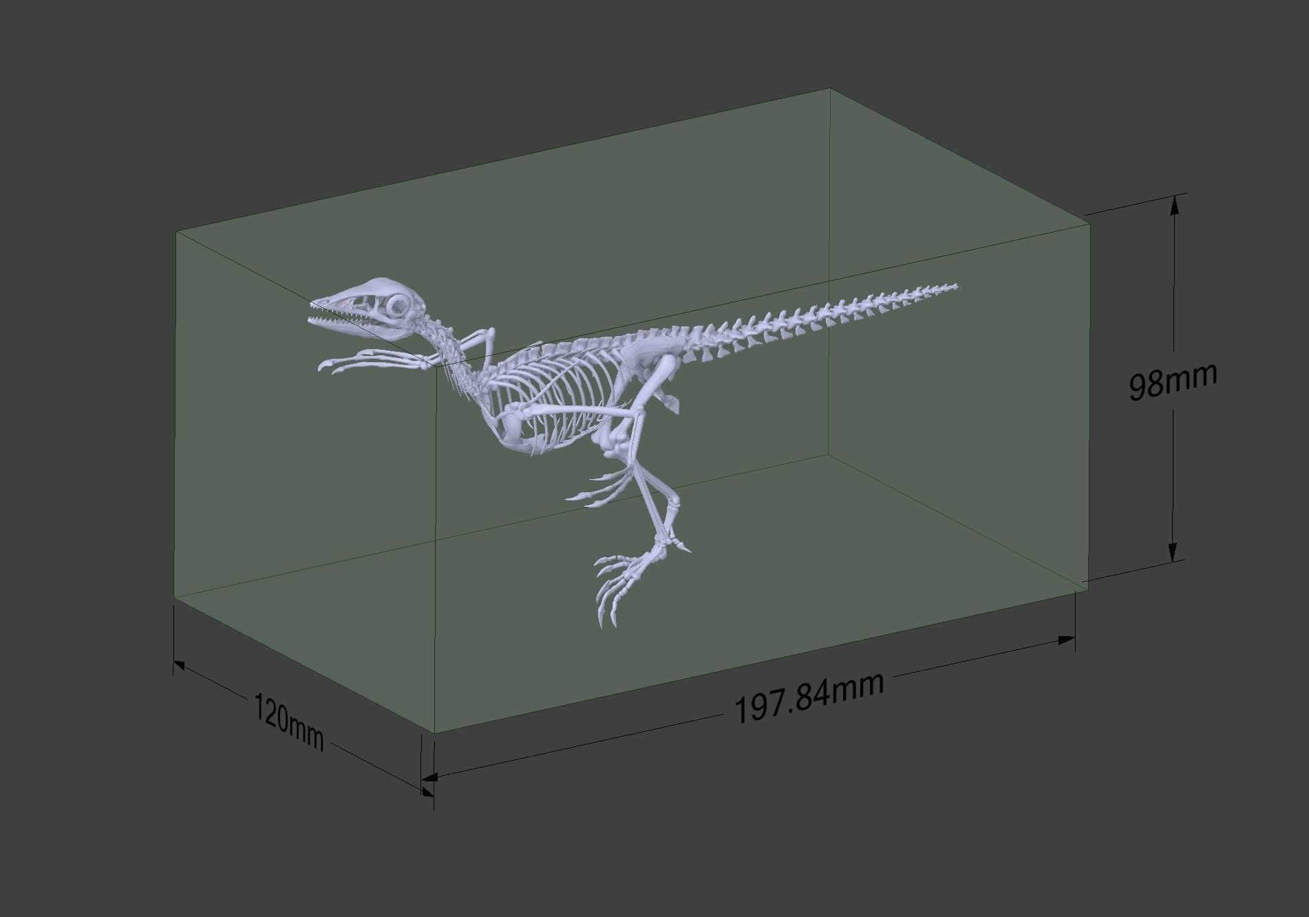 Archaeopteryx Skeleton - Full 3D archaeopteryx dinosaur bones 3D print model_2