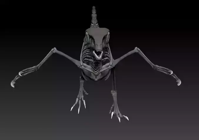 Archaeopteryx Skeleton - Full 3D archaeopteryx dinosaur bones 3D print model