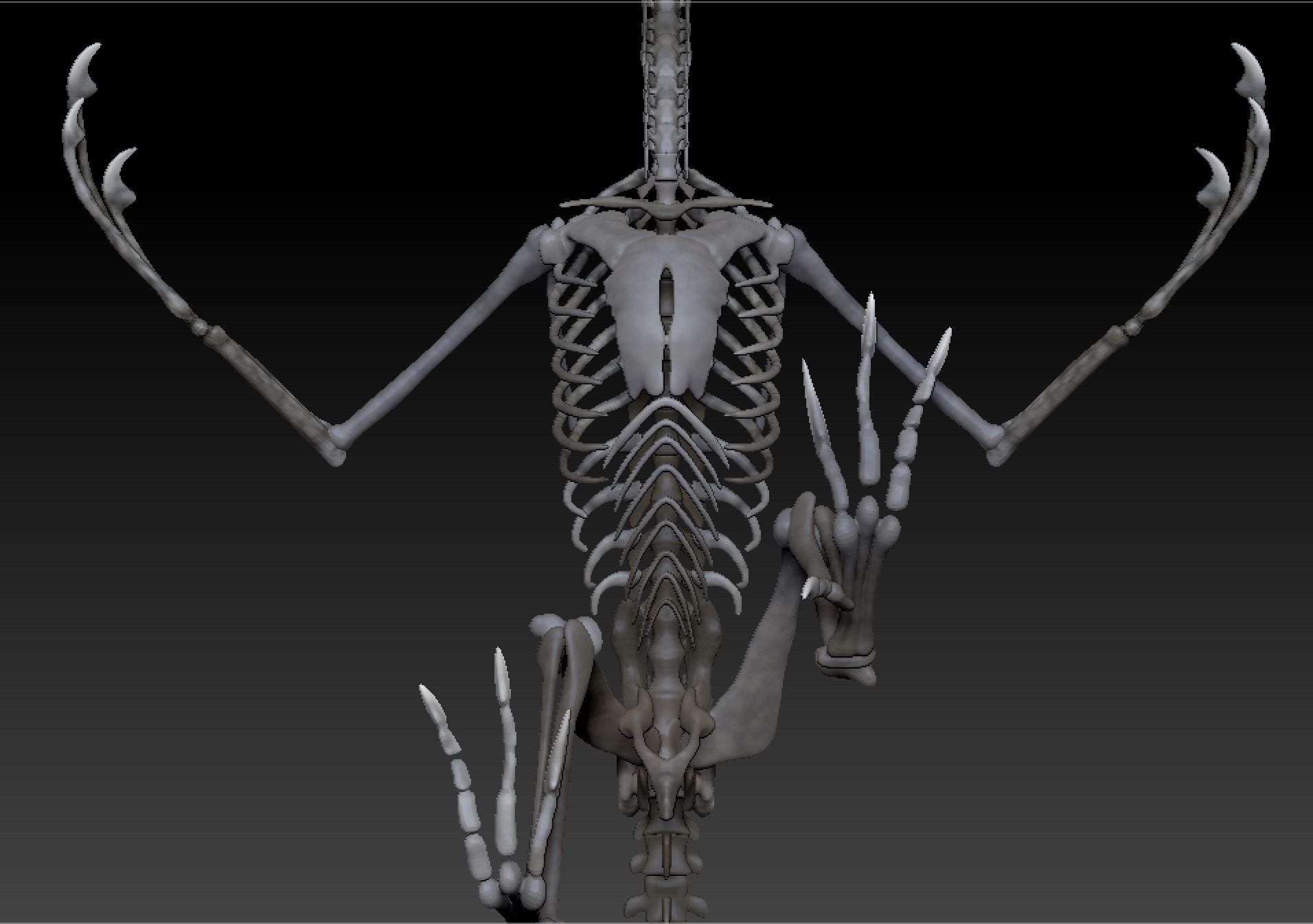 Archaeopteryx Skeleton - Full 3D archaeopteryx dinosaur bones 3D print model_7