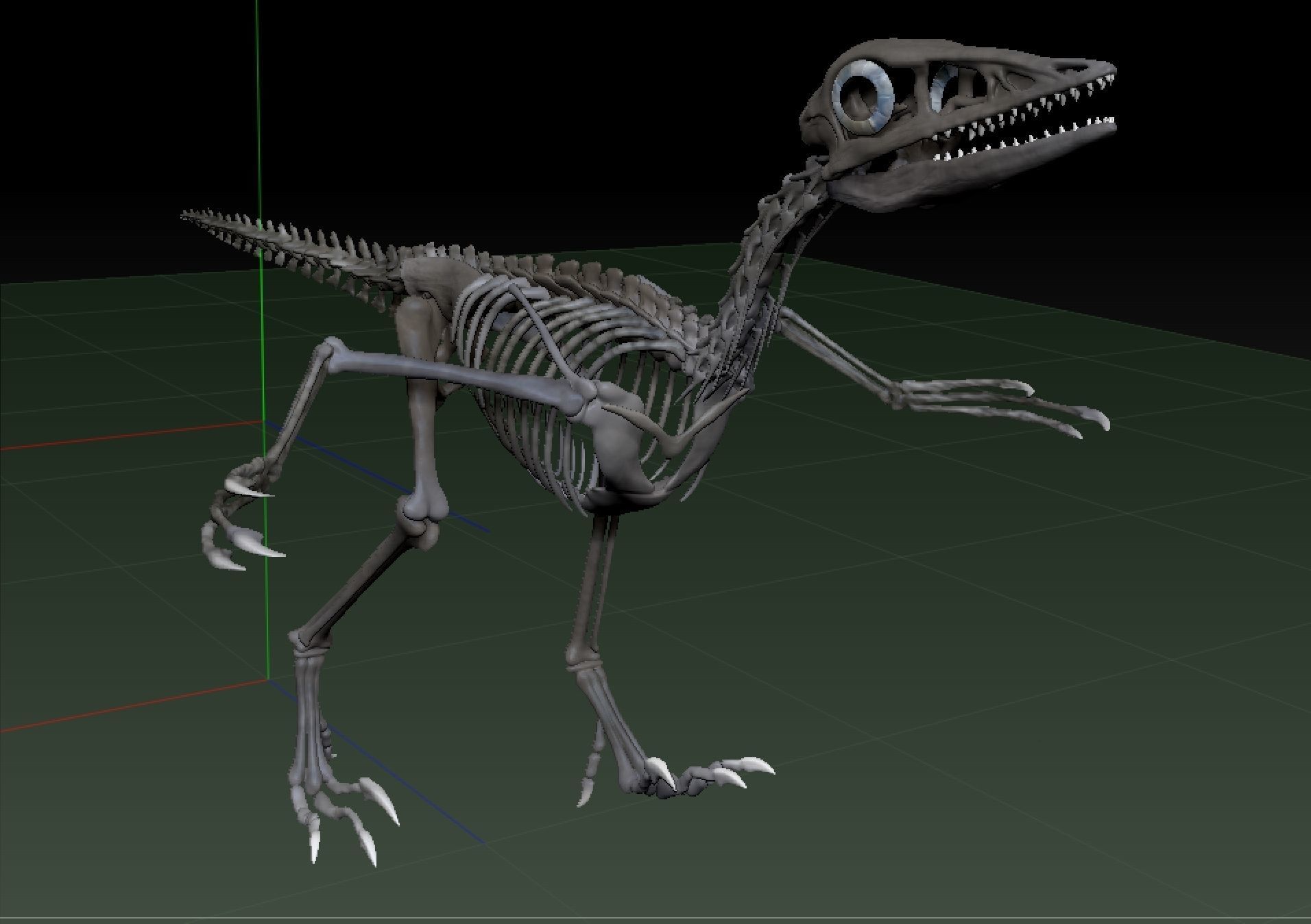 Archaeopteryx Skeleton - Full 3D archaeopteryx dinosaur bones 3D print model_5