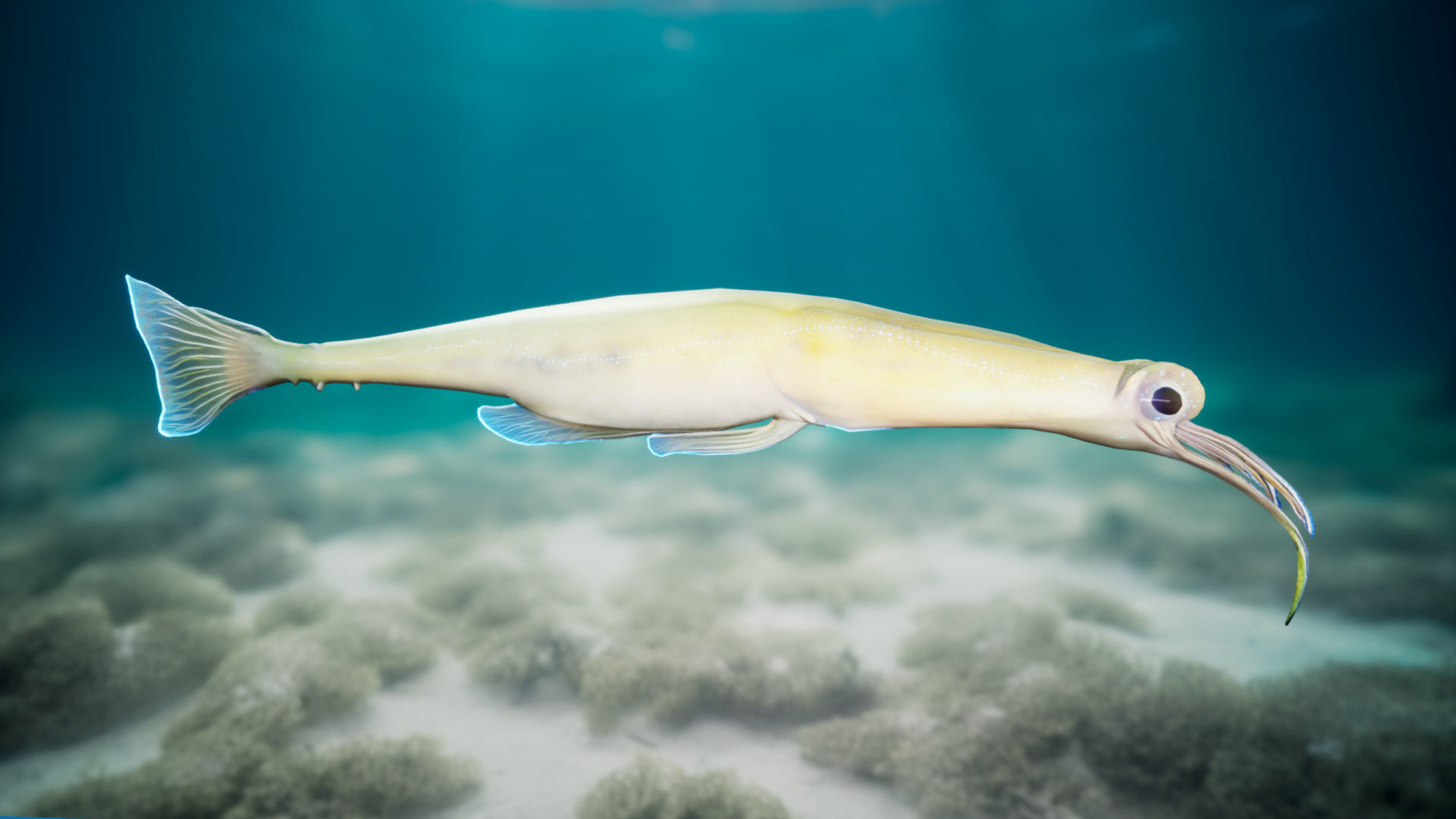 Alien Fish - Scifi Fantasy Creatures - Unreal Engine Support Low-poly 3D model_13