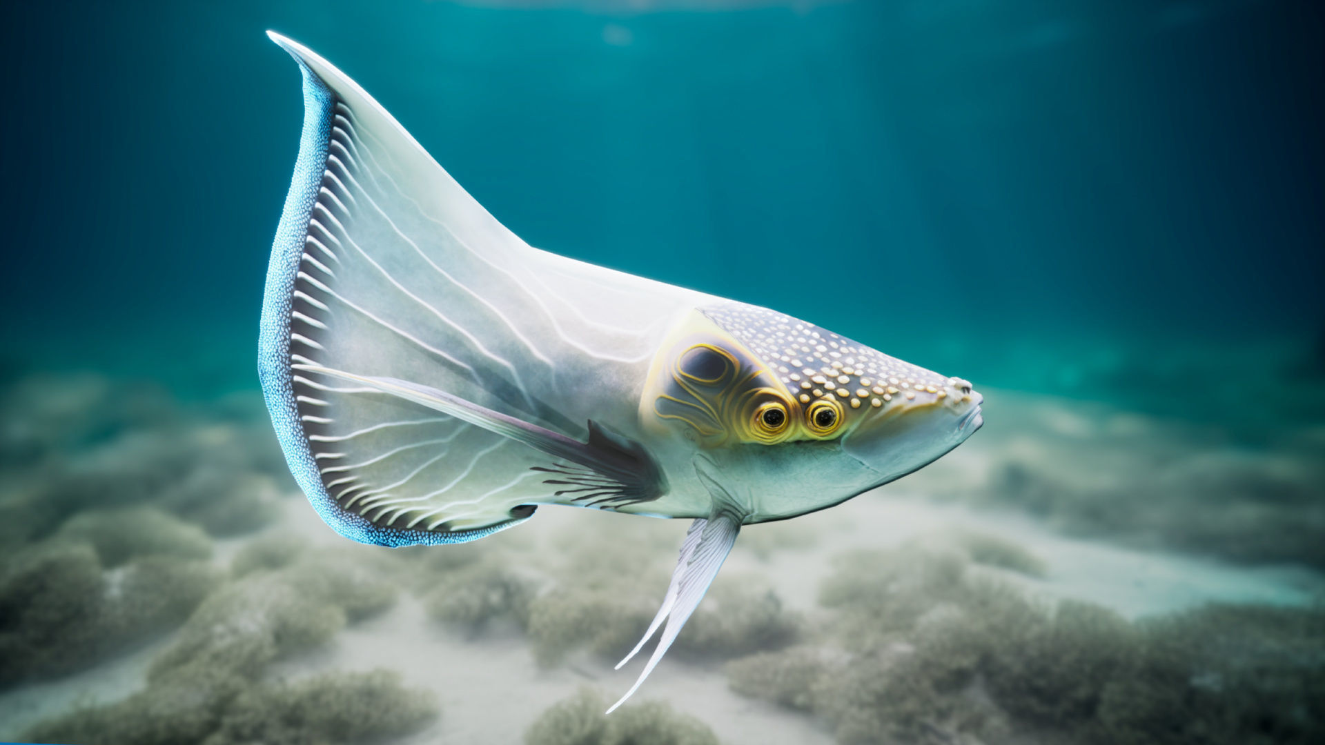 Alien Fish - Scifi Fantasy Creatures - Unreal Engine Support Low-poly 3D model_9