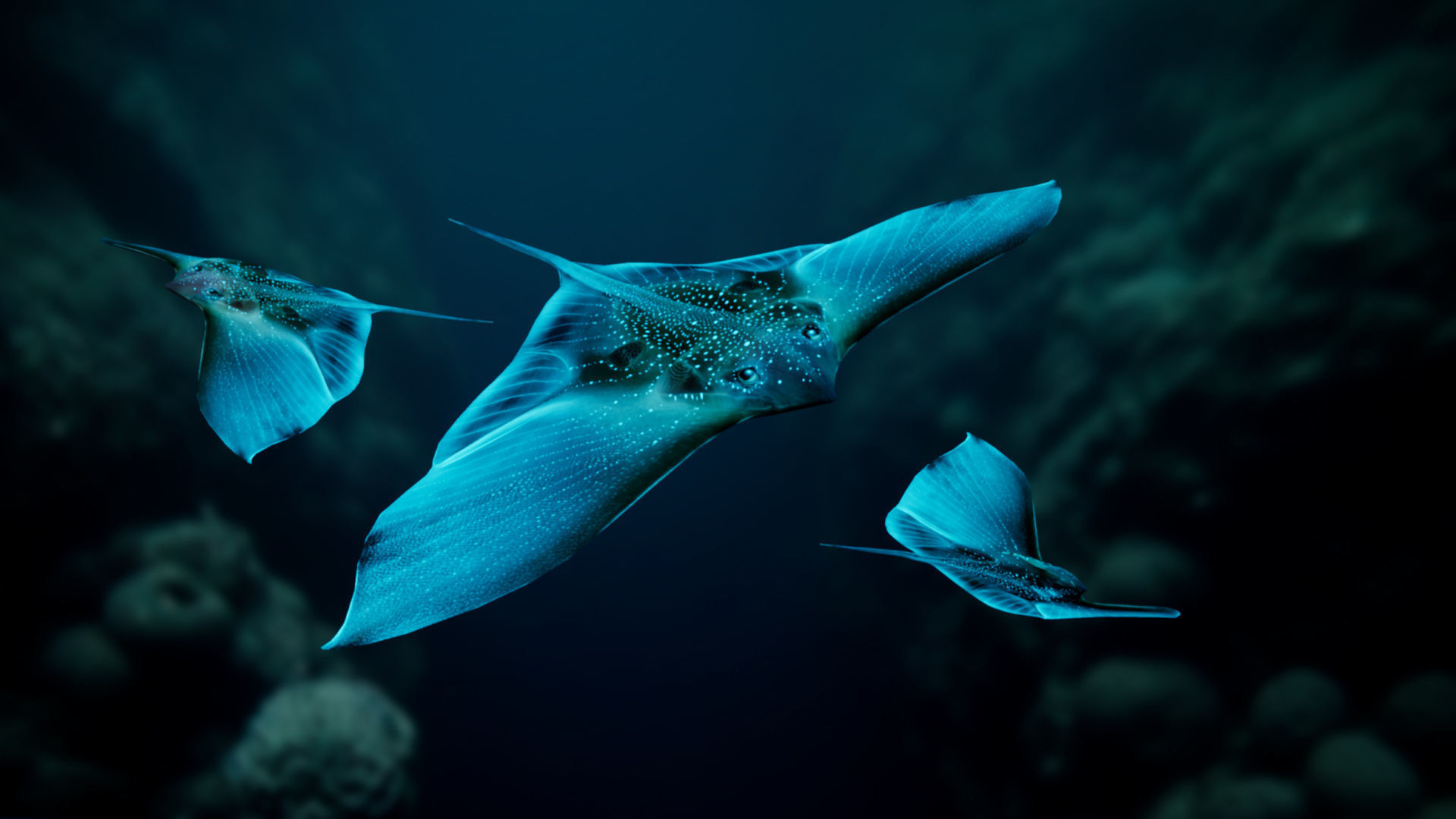 Alien Fish - Scifi Fantasy Creatures - Unreal Engine Support Low-poly 3D model_18