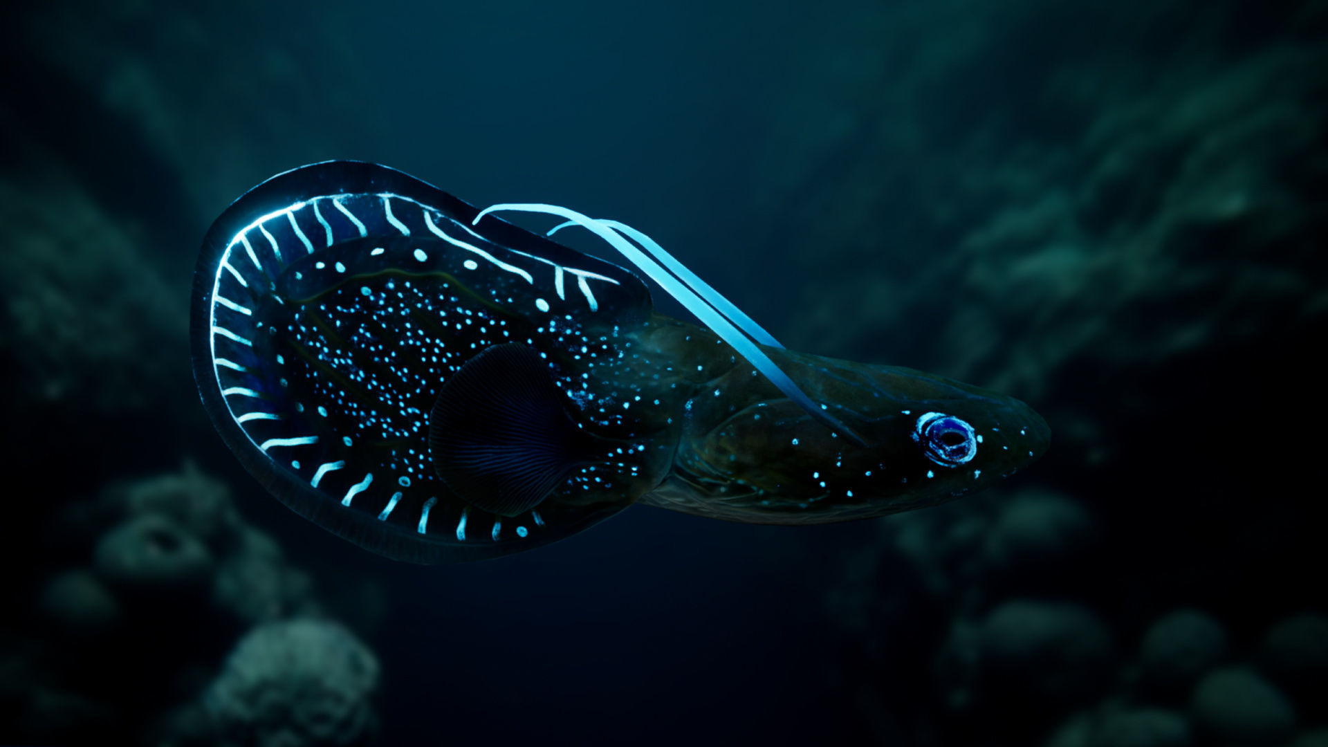 Alien Fish - Scifi Fantasy Creatures - Unreal Engine Support Low-poly 3D model_20