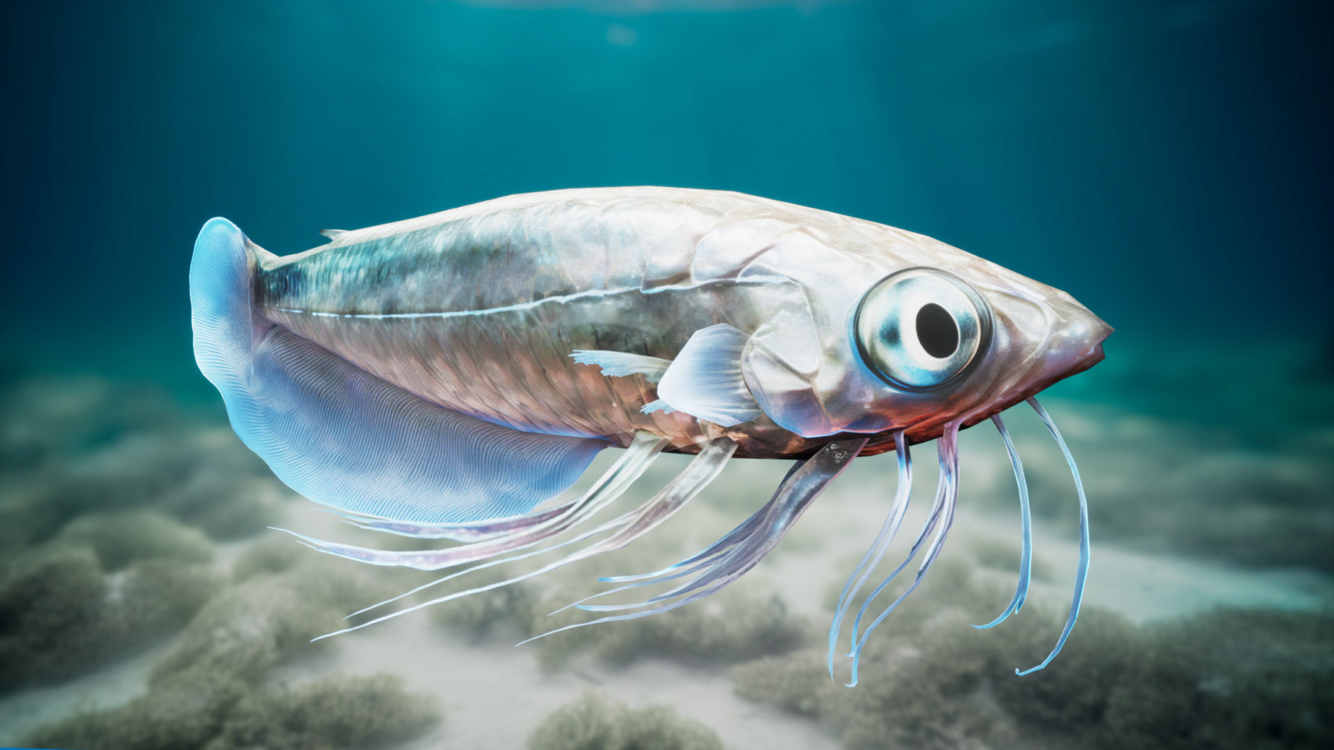 Alien Fish - Scifi Fantasy Creatures - Unreal Engine Support Low-poly 3D model_5