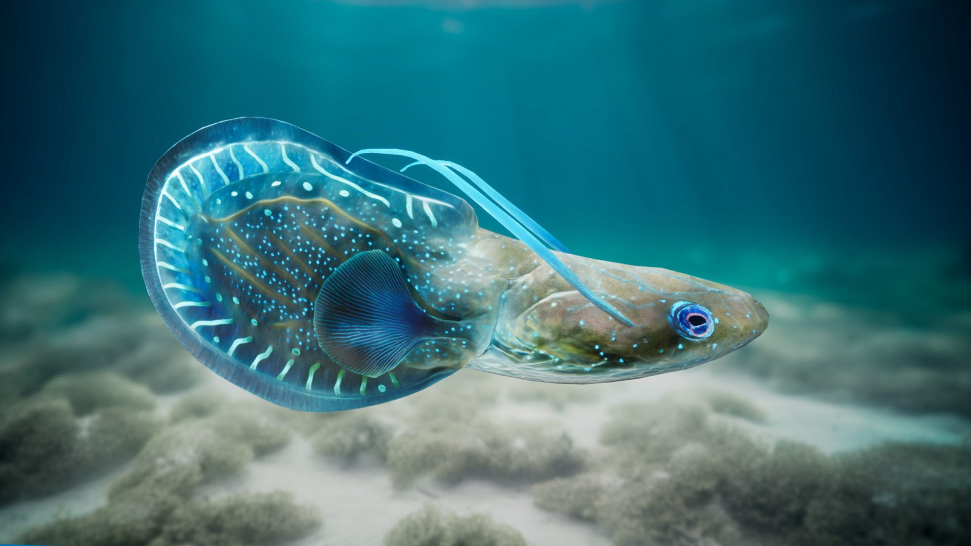 Alien Fish - Scifi Fantasy Creatures - Unreal Engine Support Low-poly 3D model_19