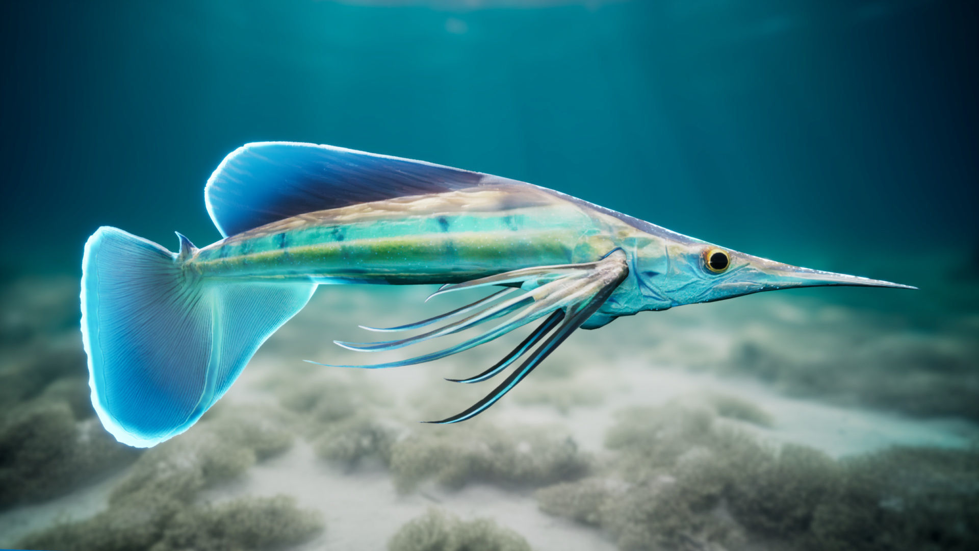 Alien Fish - Scifi Fantasy Creatures - Unreal Engine Support Low-poly 3D model_7