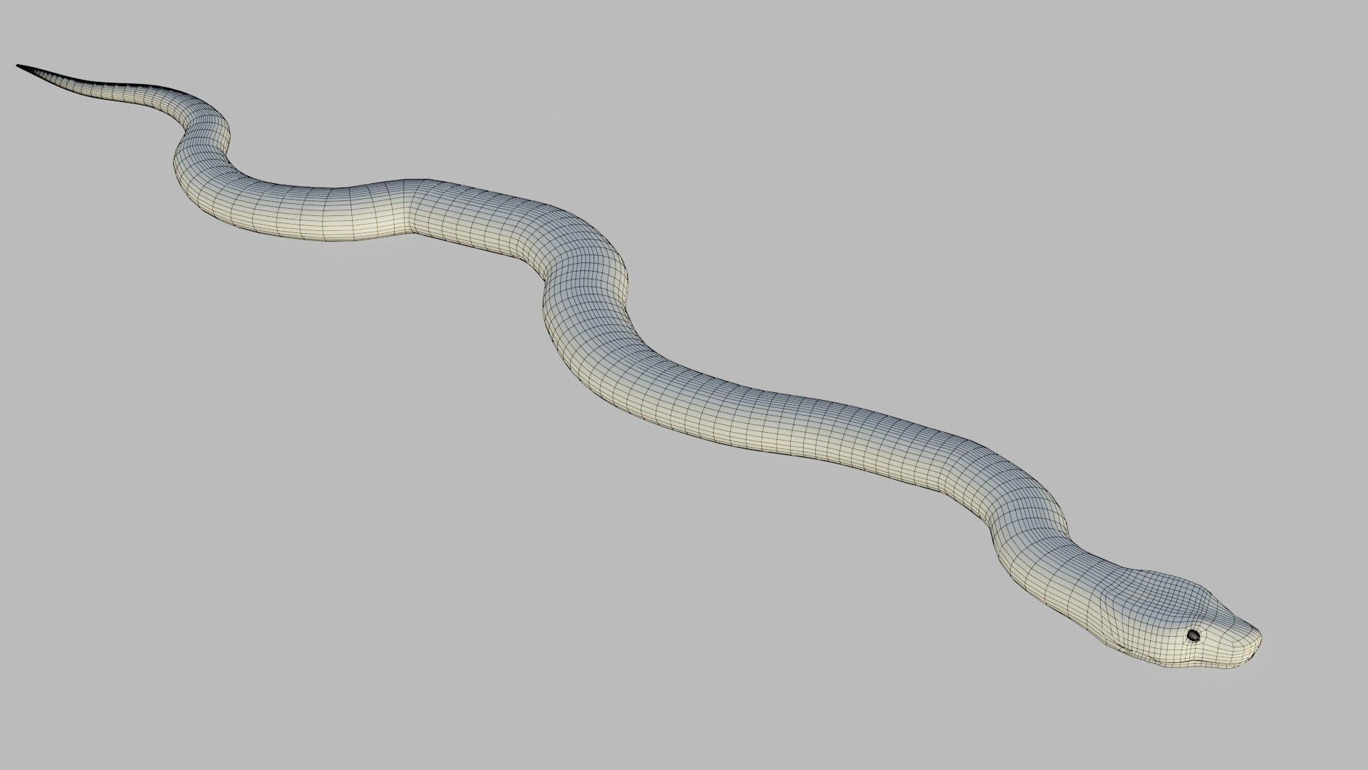 Russel Viper - Low Poly - Game Ready - Rigged Low-poly 3D model_12