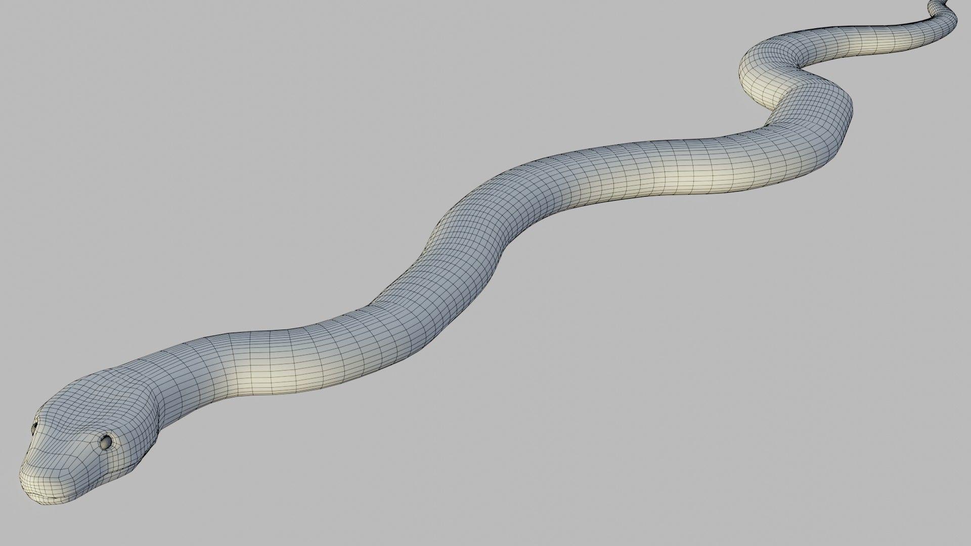 Russel Viper - Low Poly - Game Ready - Rigged Low-poly 3D model_13