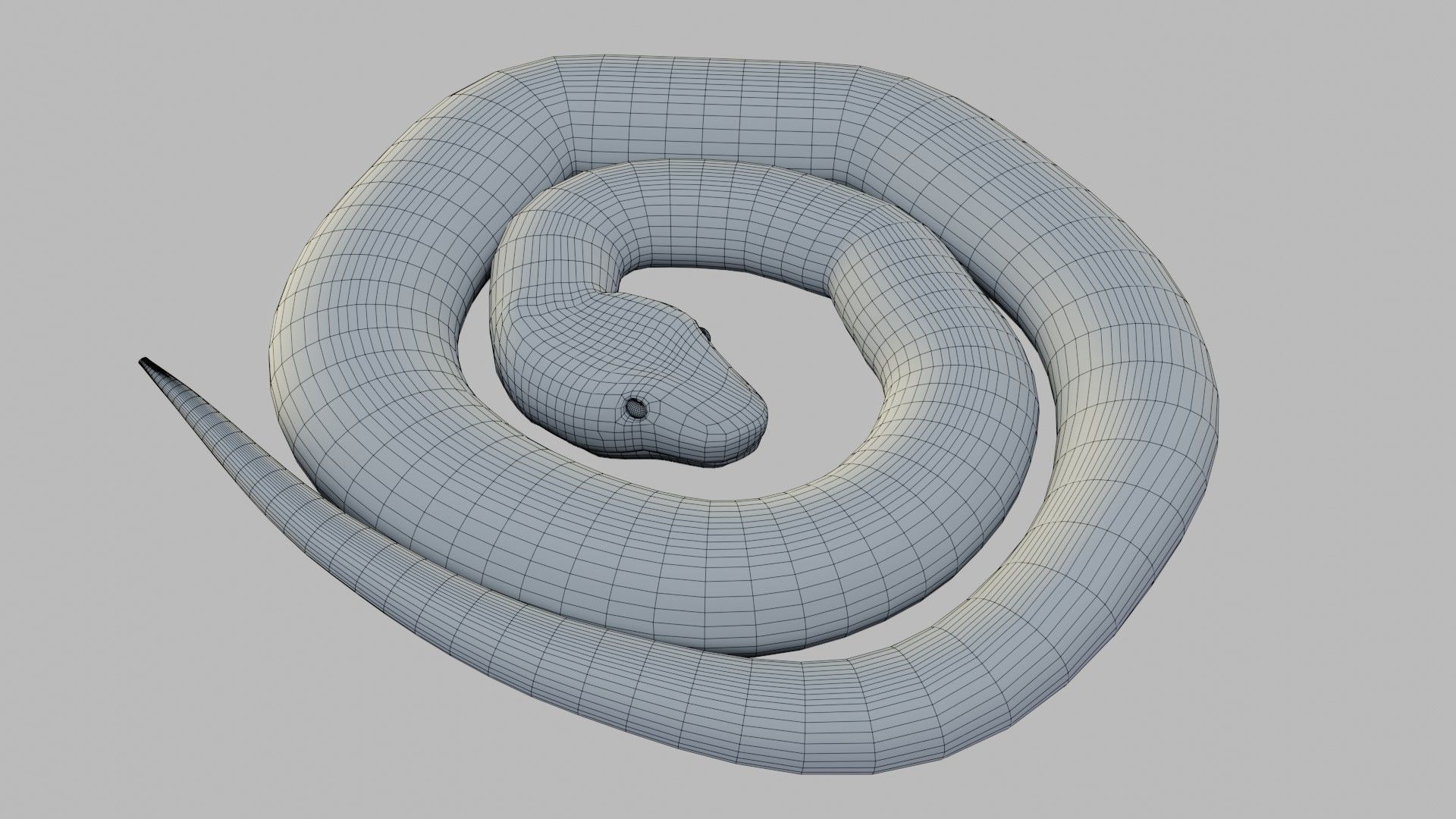 Russel Viper - Low Poly - Game Ready - Rigged Low-poly 3D model_15