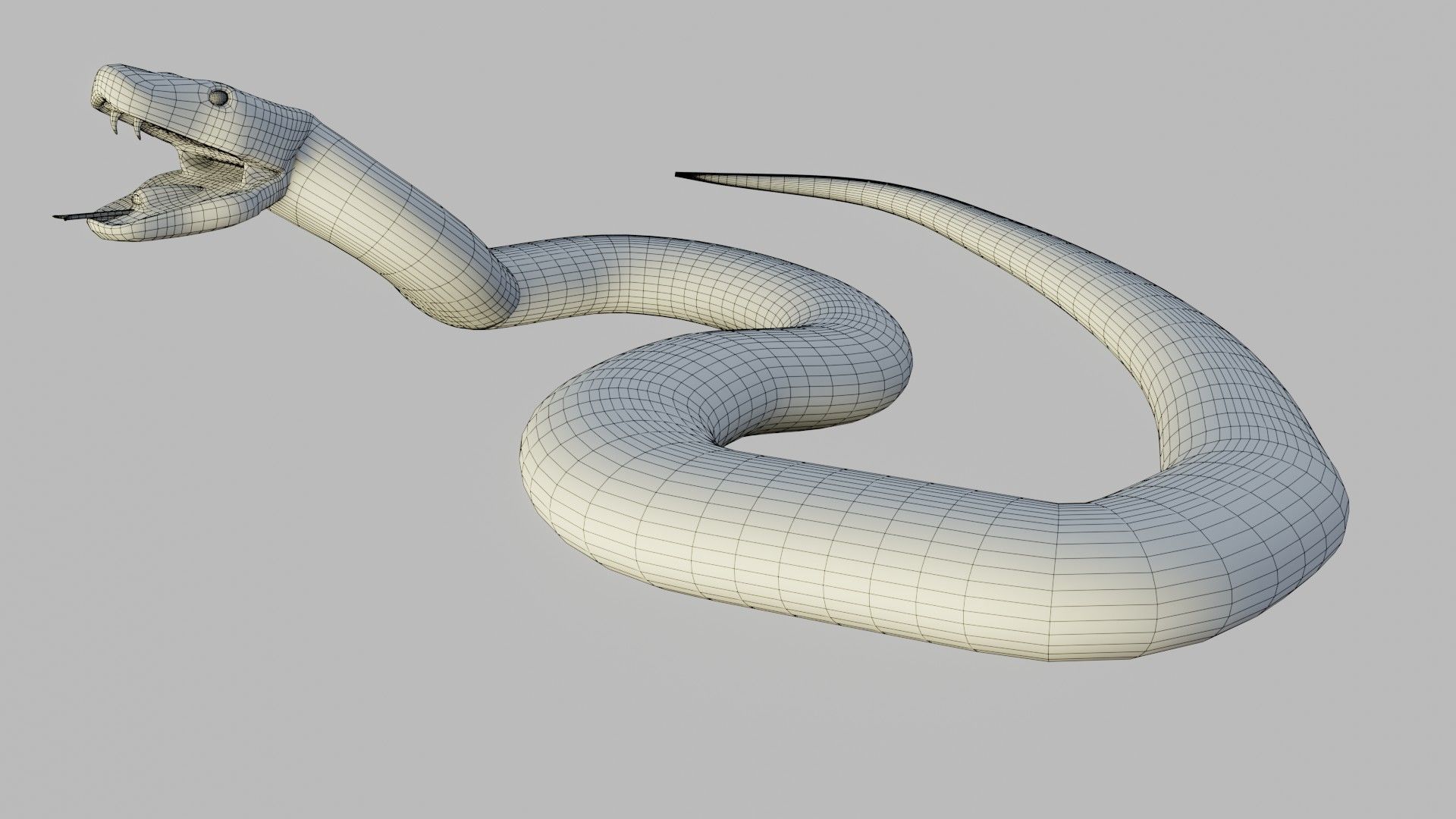 Russel Viper - Low Poly - Game Ready - Rigged Low-poly 3D model_11