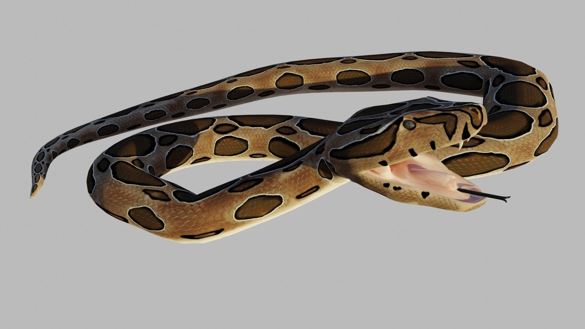 Russel Viper - Low Poly - Game Ready - Rigged Low-poly 3D model_2