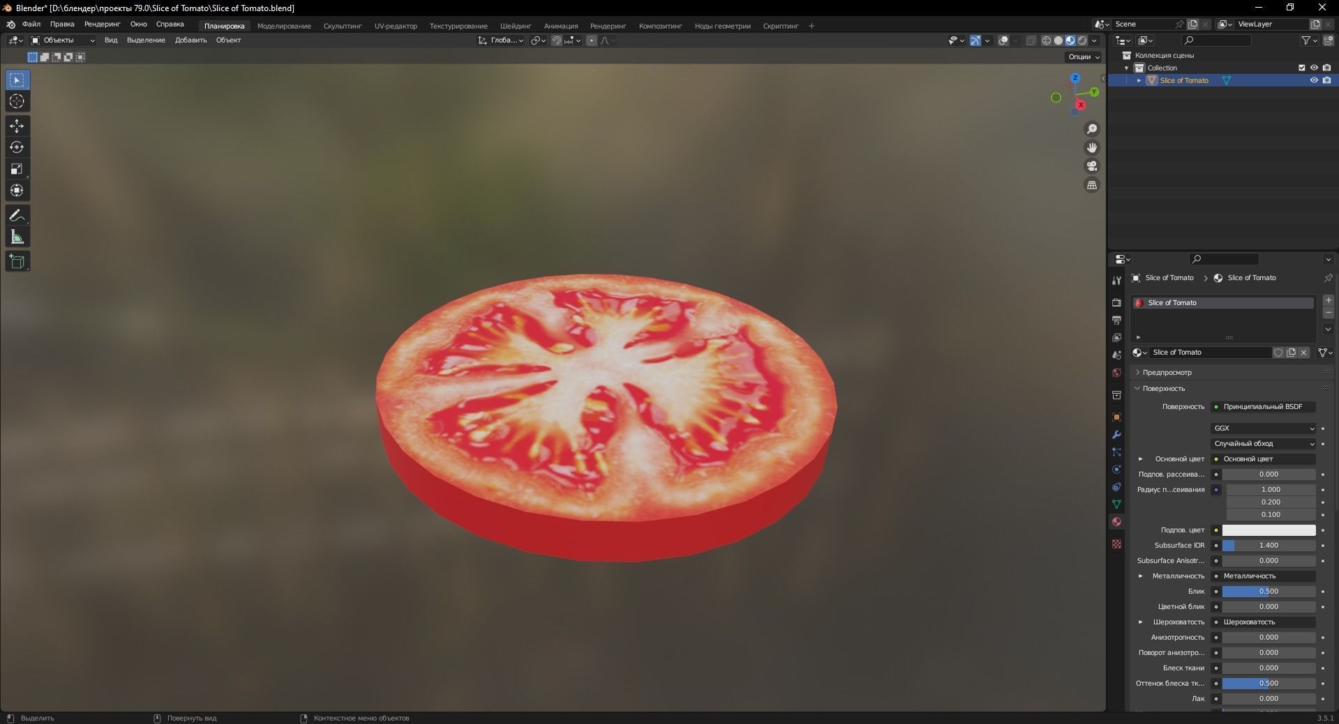 Slice of Tomato 3D Model Low-poly 3D model_8