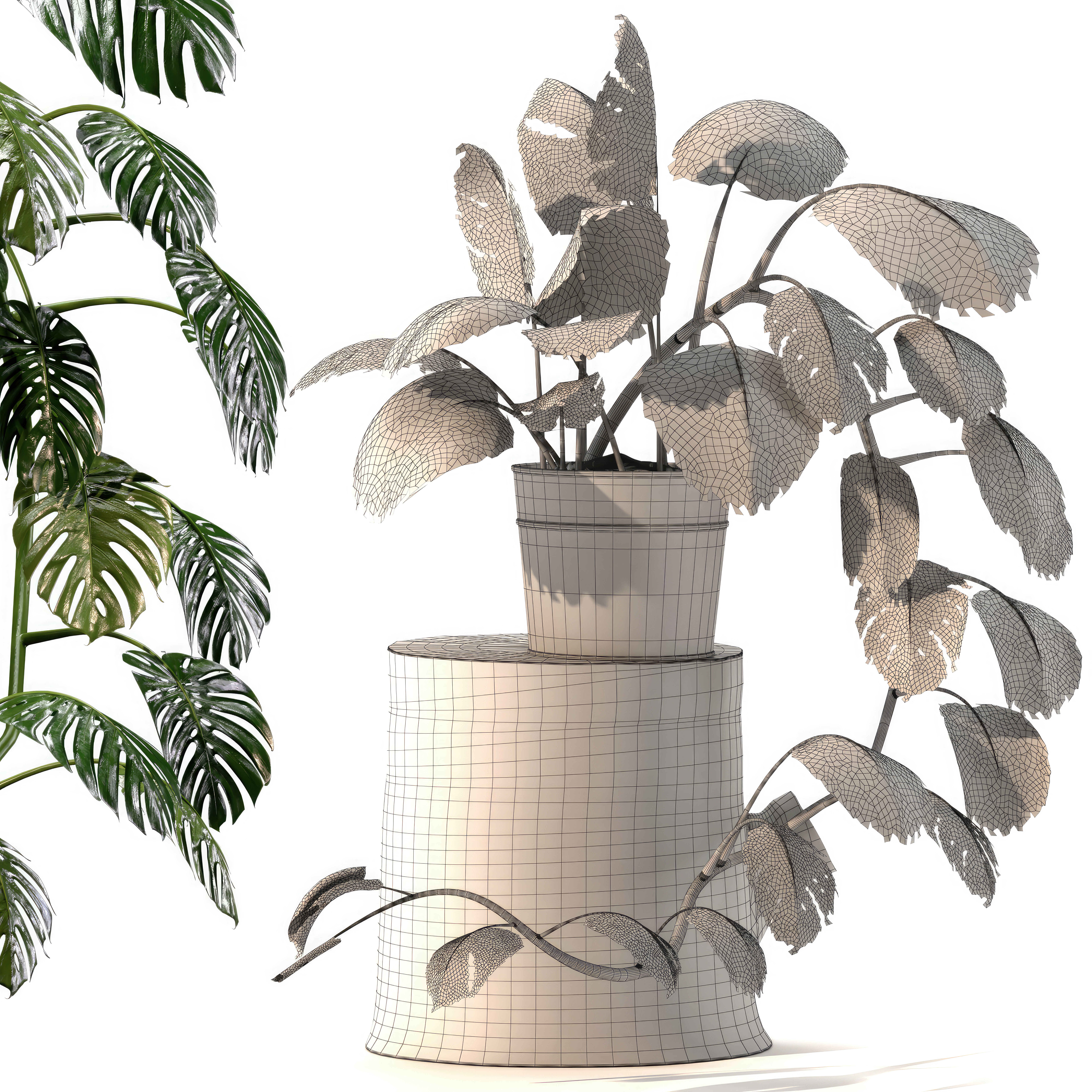 Indoor Plant 01 3D model_1