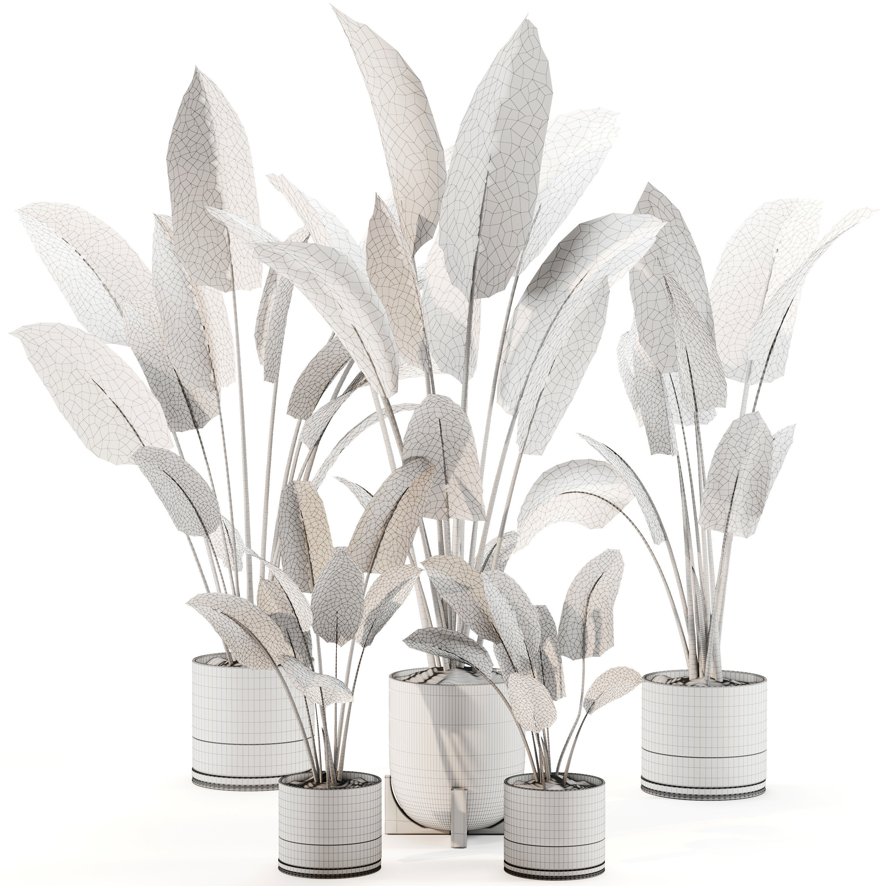 Indoor Plant Set 02 3D model_4