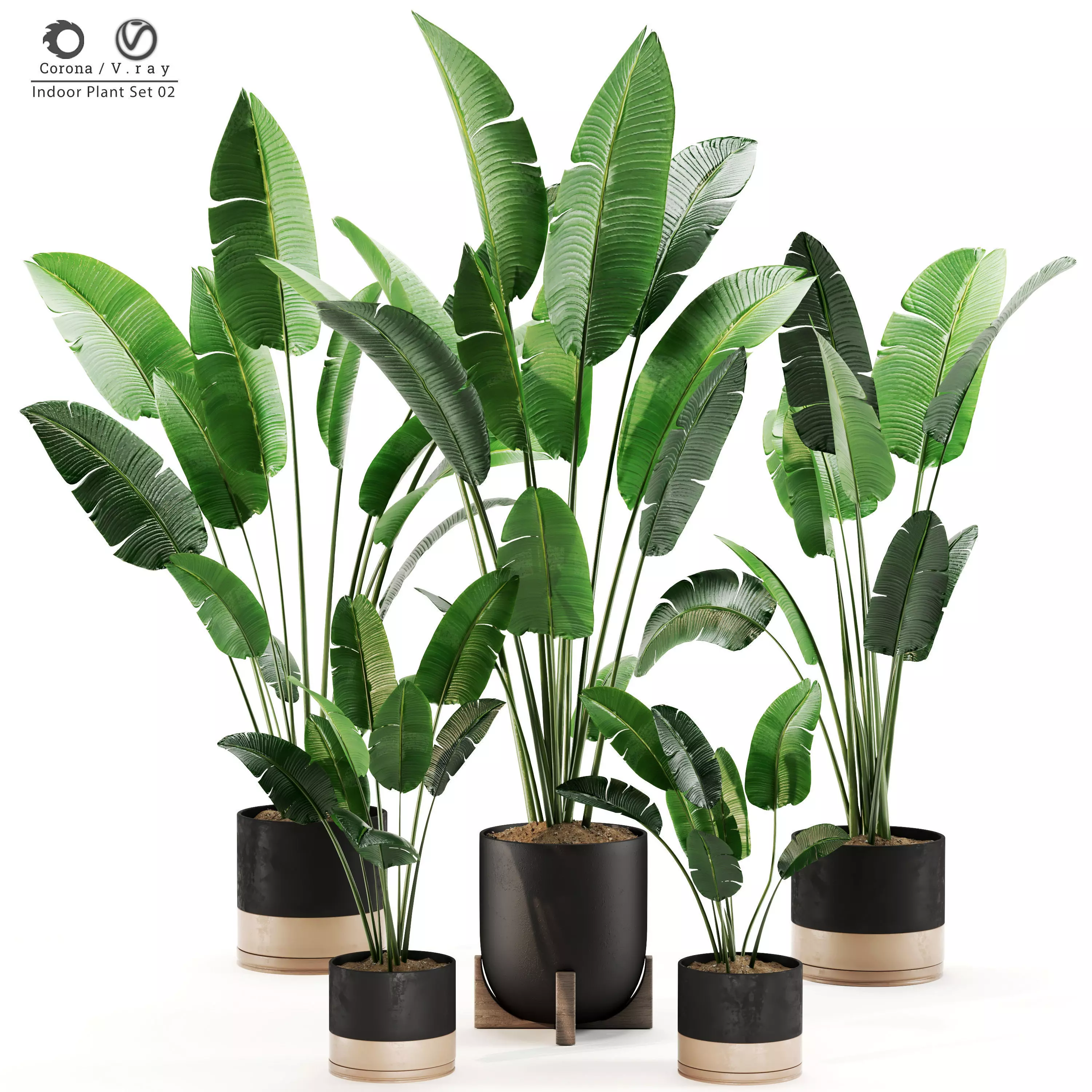 Indoor Plant Set 02 3D model_0