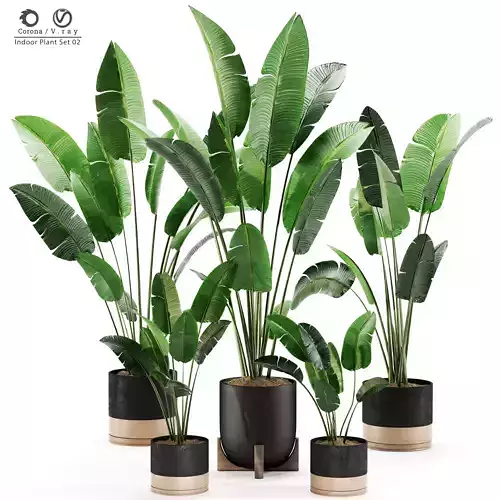 Indoor Plant Set 02 3D model
