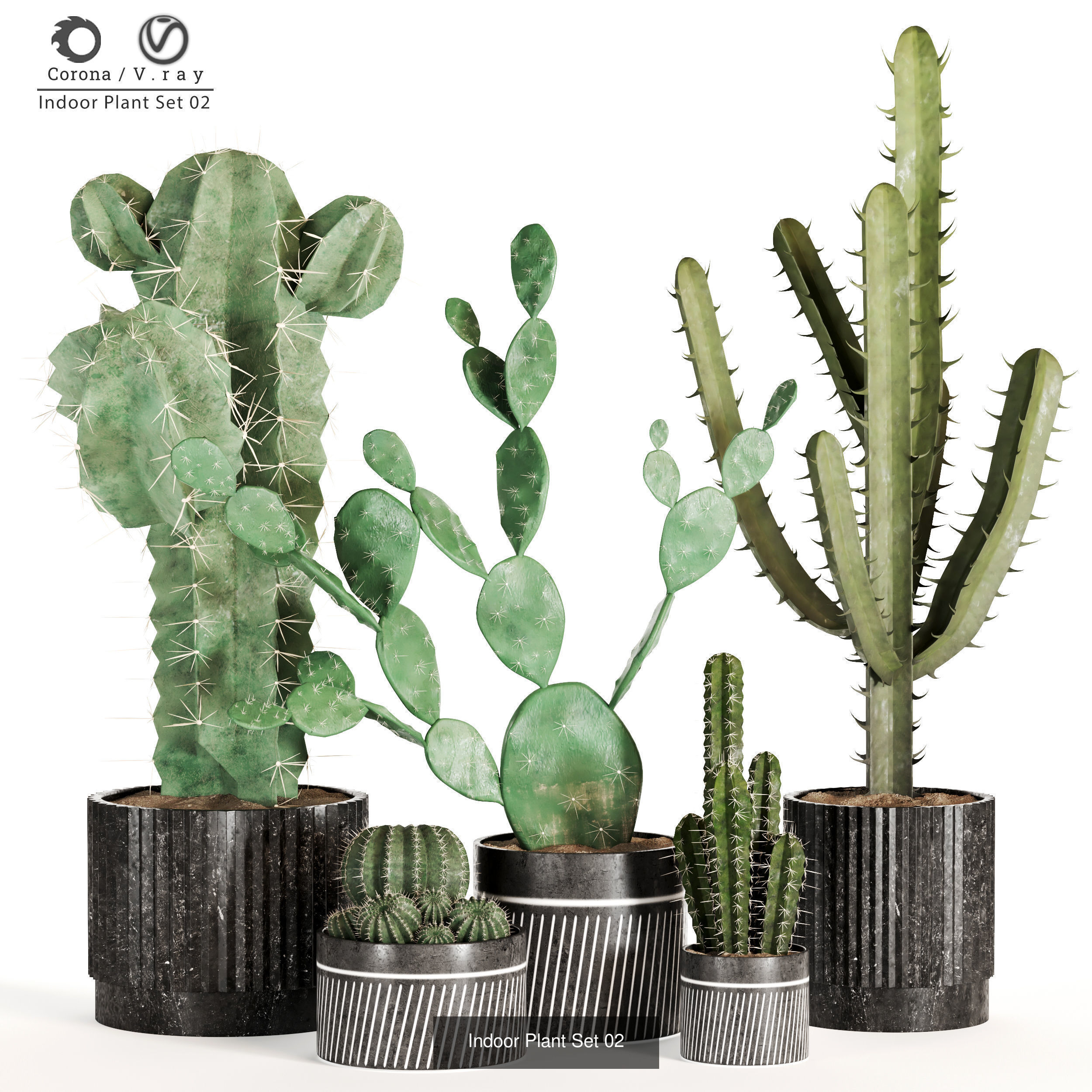 Interior plant Collection _4