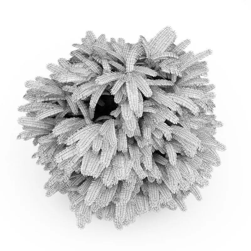 Staghorn Sumac 3D model