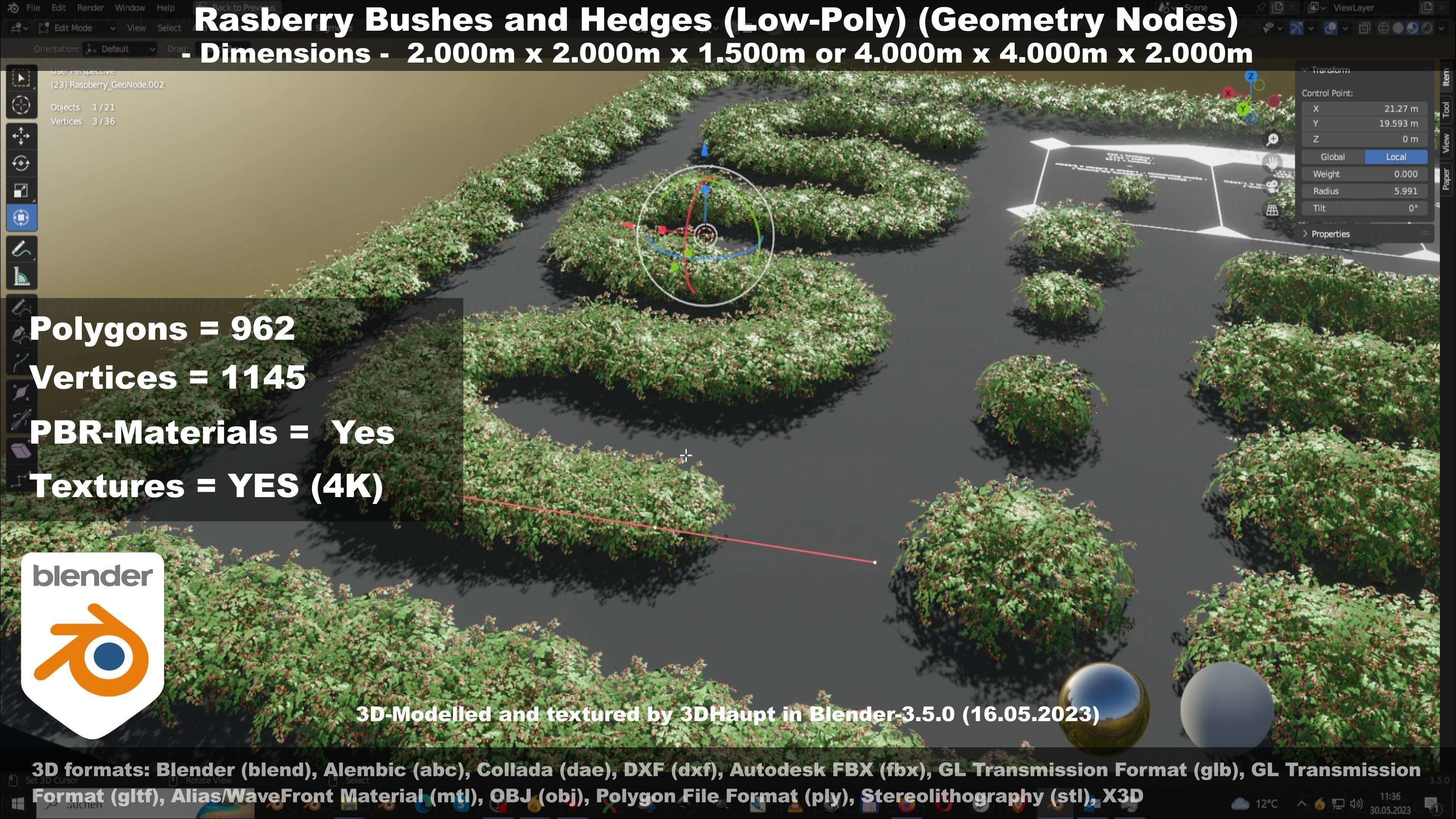 Low-Poly Rasberry Bushes and Hedges Low-poly 3D model_68